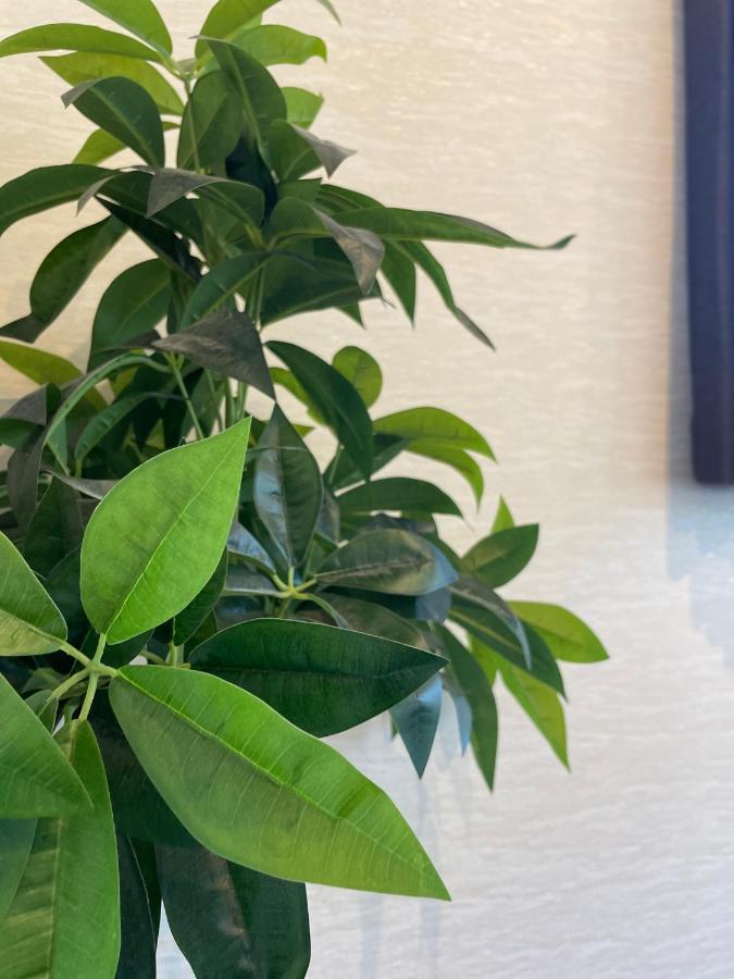Niseko Hotel Kiraku Kou Экстерьер фото